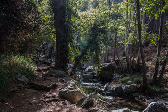 Zum Wasserfall Kalidonia
