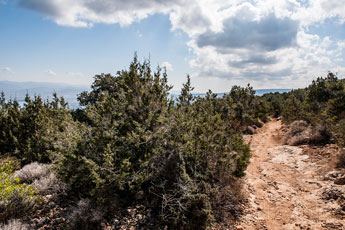 Halbinsel Akamas. Smigies Wanderung. Steiniger Pfad