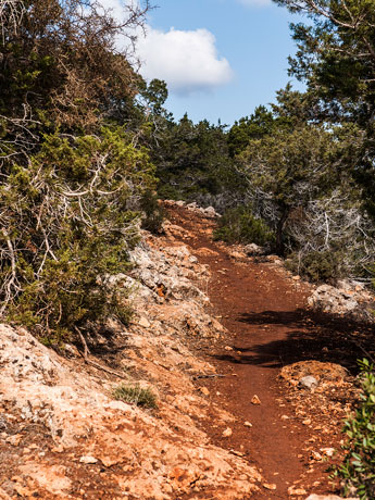 Halbinsel Akamas. Smigies Wanderung