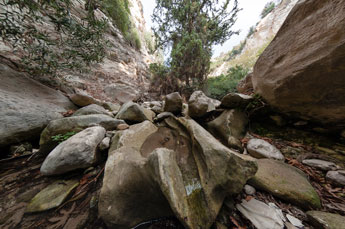 In der Avakas-Schlucht. Hinter der Hauptschlucht
