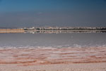 Am Salzsee Hala Sultan Tekke