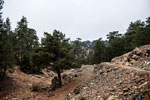 Atalanti Trail. Troodos-Gebirge