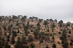 Troodos-Gebirge. Atalanti Trail. Abstufung