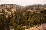 Atalanti Trail. Troodos-Gebirge