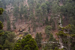 Atalanti Trail. Troodos-Gebirge. Die Hadjipavlou-Mine