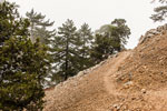 Atalanti Trail. Troodos-Gebirge. Nebel