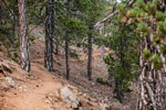 Atalanti Trail. Troodos-Gebirge