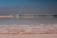 Am Salzsee Hala Sultan Tekke