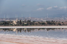 Am Salzsee Hala Sultan Tekke