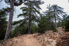 Atalanti Trail