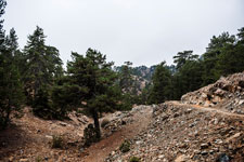 Atalanti Trail. Troodos-Gebirge