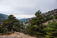 Atalanti Trail. Troodos-Gebirge