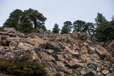 Troodos-Gebirge. Atalanti Trail. Steine