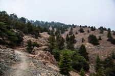 Troodos-Gebirge. Atalanti Trail