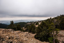 Atalanti Trail. Troodos-Gebirge