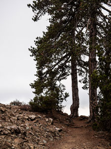 Troodos-Gebirge. Atalanti Trail