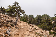 Atalanti Trail. Troodos-Gebirge