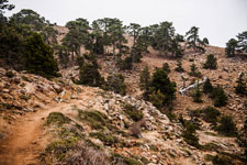 Atalanti Trail. Troodos-Gebirge