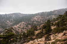 Troodos-Gebirge. Atalanti Trail. Bergabhänge
