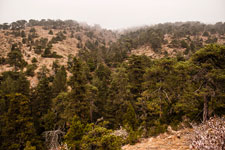 Atalanti Trail. Troodos-Gebirge