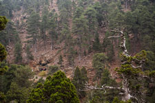 Atalanti Trail. Troodos-Gebirge. Die Hadjipavlou-Mine