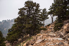 Atalanti Trail. Troodos-Gebirge