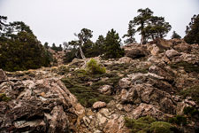 Troodos-Gebirge. Atalanti Trail. Bergabhänge