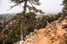 Atalanti Trail. Troodos-Gebirge
