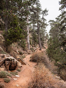Atalanti Trail. Troodos-Gebirge