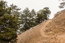 Atalanti Trail. Troodos-Gebirge. Nebel