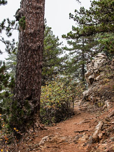 Atalanti Trail. Troodos-Gebirge