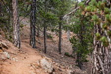 Atalanti Trail. Troodos-Gebirge