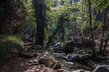 Zum Wasserfall Kalidonia
