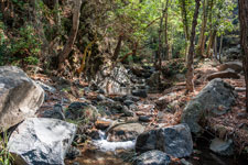 Zum Wasserfall Kalidonia