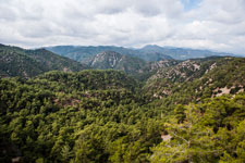 Troodos-Gebirge