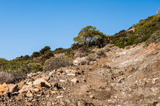 Halbinsel Akamas. Smigies Wanderung