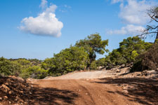 Halbinsel Akamas. Smigies Wanderung. Piste