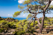 Halbinsel Akamas. Smigies Wanderung. Blick nach Westen