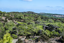 Halbinsel Akamas. Smigies Wanderung
