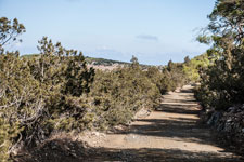 Halbinsel Akamas. Smigies Wanderung. Forstpiste