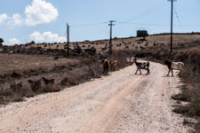 Unterwegs Neo Chorio - Pano Arodes