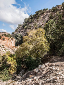 Südwestliche Seite der Halbinsel Akamas