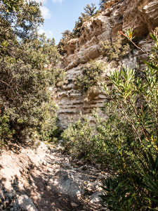 Am Eingang in die Avakas-Schlucht