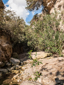 In der Avakas-Schlucht