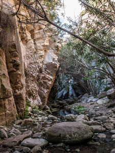 In der Avakas-Schlucht