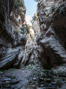 In der Avakas-Schlucht