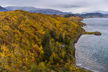Herbstlicher Wald. Leirfjord
