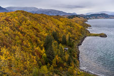 Herbstlicher Wald. Leirfjord