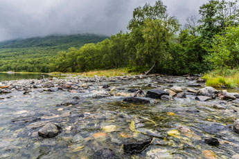 Fluss Bjørndalselva