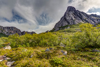 Insel Austvågøya. Zum Berg Vågakallen. Durmålsdalen